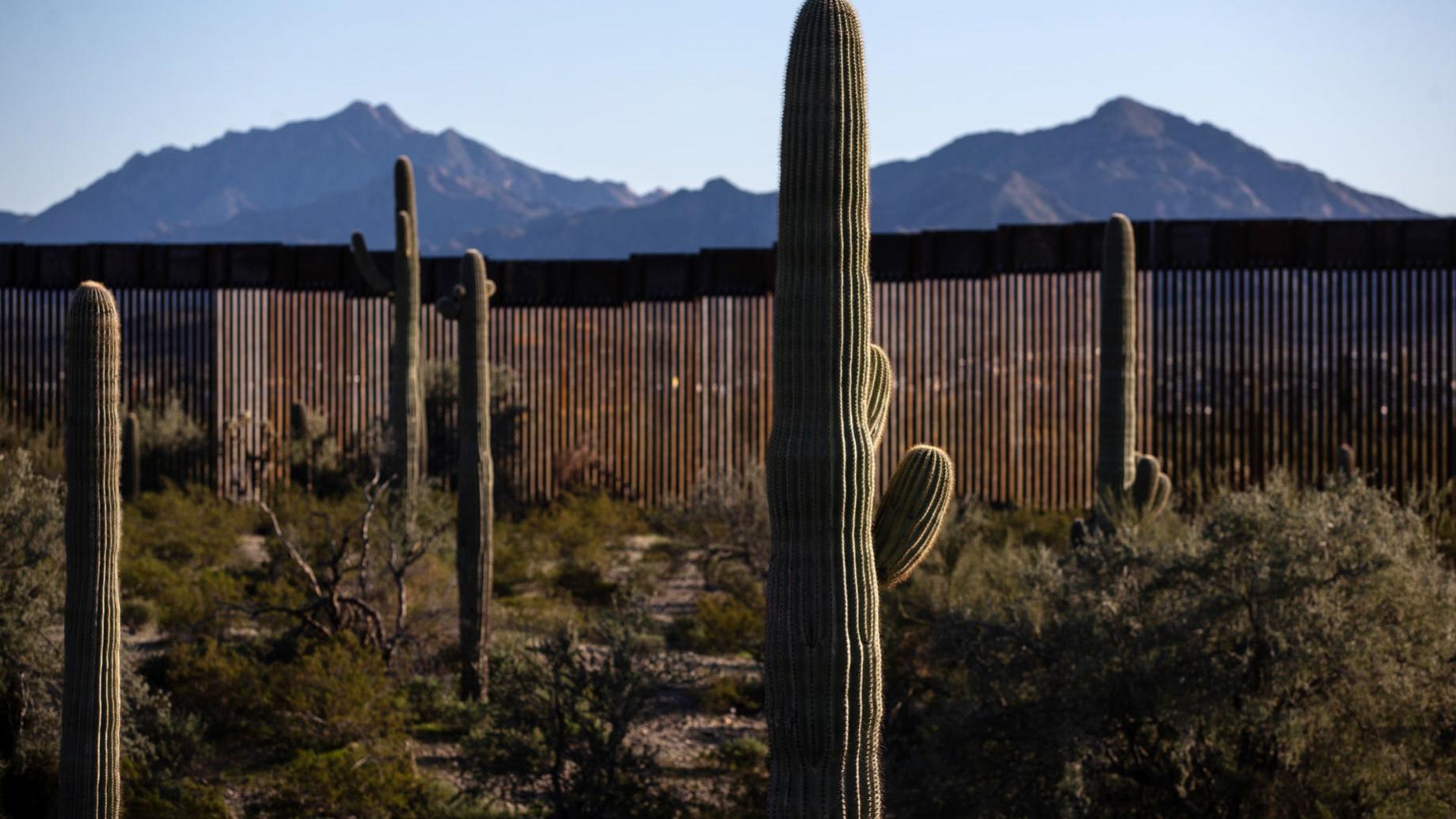 Border wall is quickly changing look of desert in southwestern Arizona